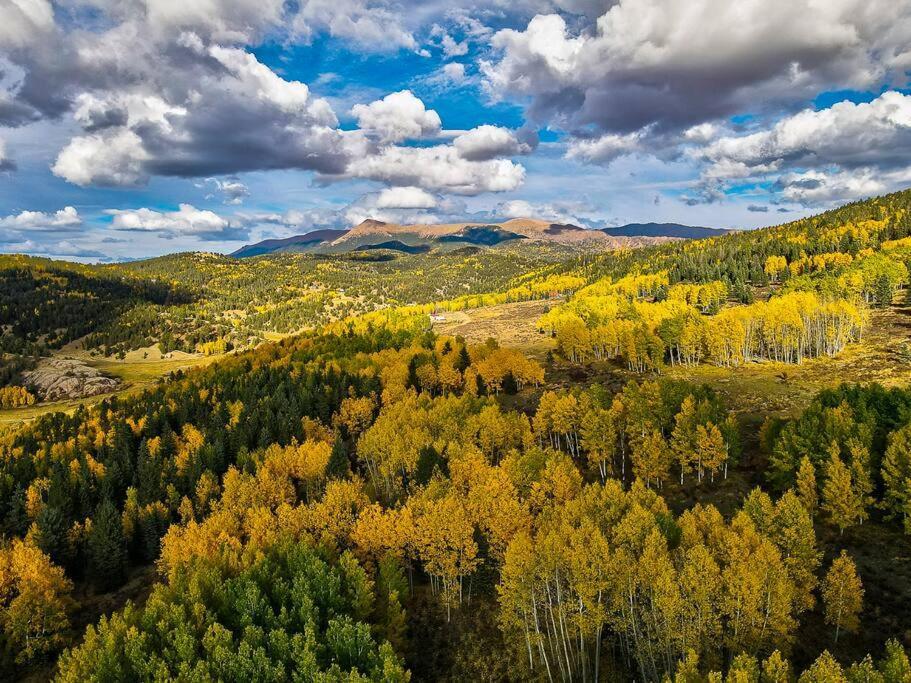Monarch Landing, A Cozy Cabin W/360 Mountain Views Cripple Creek Eksteriør bilde